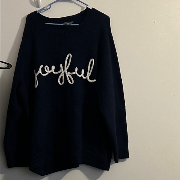 Terra & Sky 'Joyful' Sweater - Picture 1 of 8
